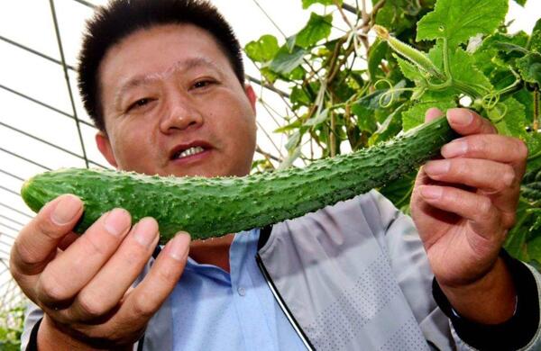 生鮮食材配送為什么大多不能與客戶建立長期合作?